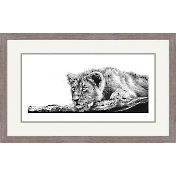 Spirit of Tranquility - Asiatic Lion Framed Limited Edition Art Print by Jamie Boots