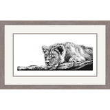 Spirit of Tranquility - Asiatic Lion Framed Limited Edition Art Print by Jamie Boots