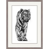 Shadow Hunter - Siberian Tiger Framed Limited Edition Art Print by Jamie Boots