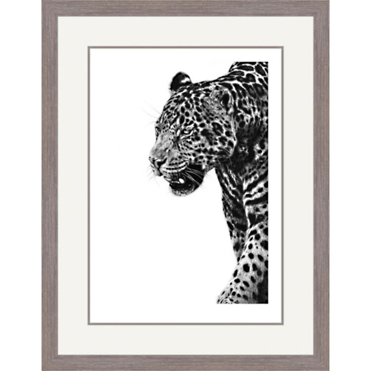Spirit of The Jaguar - Jaguar Framed Limited Edition Art Print by Jamie Boots