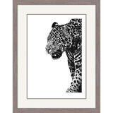 Spirit of The Jaguar - Jaguar Framed Limited Edition Art Print by Jamie Boots