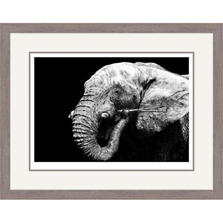 Dark Energy - African Elephants Framed Limited Edition Art Print by Jamie Boots