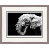 Dark Energy - African Elephants Framed Limited Edition Art Print by Jamie Boots