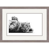 Russian Dreamer - Siberian Tiger Framed Limited Edition Art Print by Jamie Boots