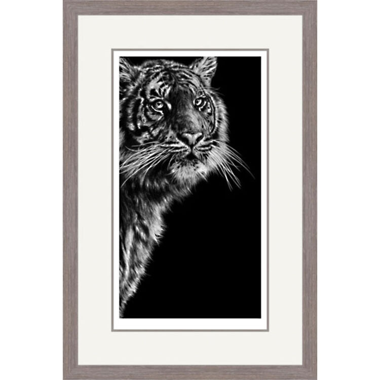 Dangerous Contrast - Sumatran Tiger Framed Limited Edition Art Print by Jamie Boots