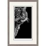 Dangerous Contrast - Sumatran Tiger Framed Limited Edition Art Print by Jamie Boots