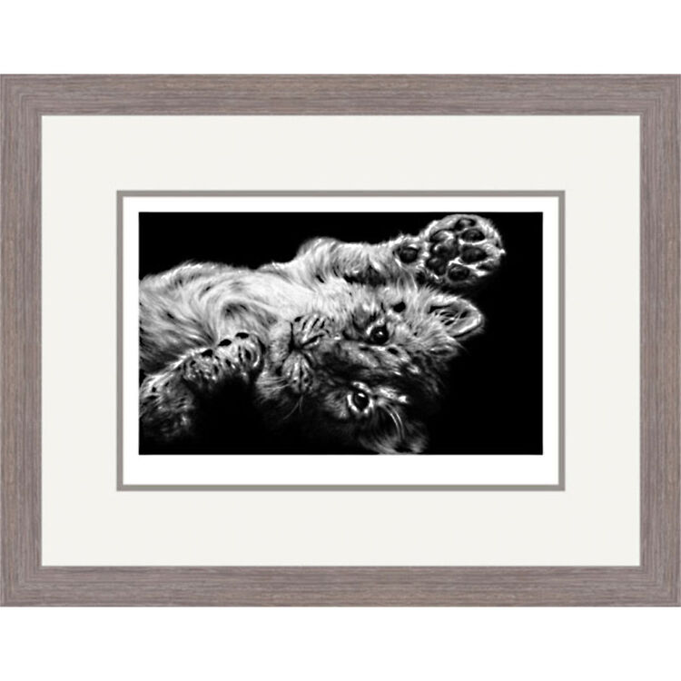 High Five - Asiatic Lion Cub Framed Limited Edition Art Print by Jamie Boots