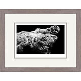 High Five - Asiatic Lion Cub Framed Limited Edition Art Print by Jamie Boots