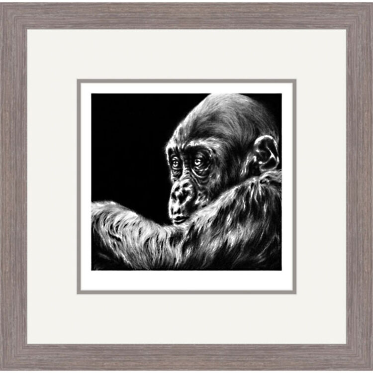 Busy Doing Nothing - Gorilla Framed Limited Edition Art Print by Jamie Boots