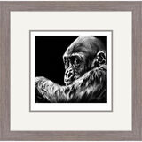 Busy Doing Nothing - Gorilla Framed Limited Edition Art Print by Jamie Boots