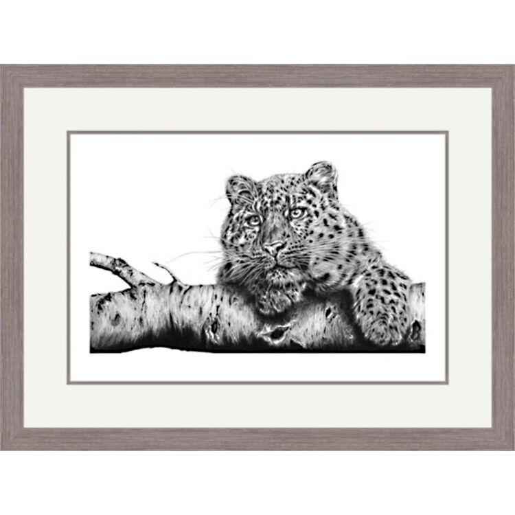 Siberian Gold - Amur Leopard Framed Limited Edition Art Print by Jamie Boots