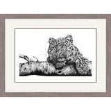 Siberian Gold - Amur Leopard Framed Limited Edition Art Print by Jamie Boots