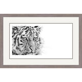 Snow Ghost - Siberian Tiger Framed Limited Edition Art Print by Jamie Boots
