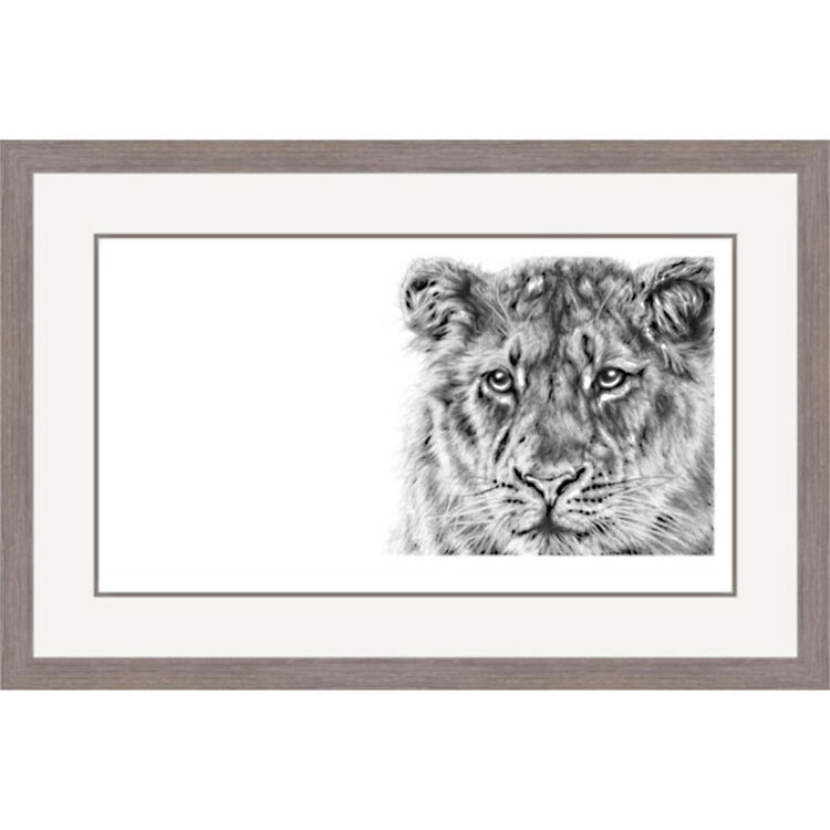 Forest Light - Asiatic Lion Framed Limited Edition Art Print by Jamie Boots