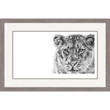 Forest Light - Asiatic Lion Framed Limited Edition Art Print by Jamie Boots
