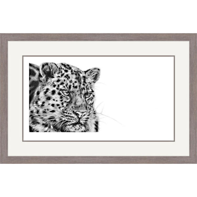 Cold Stealth - Amur Leopard Framed Limited Edition Art Print by Jamie Boots