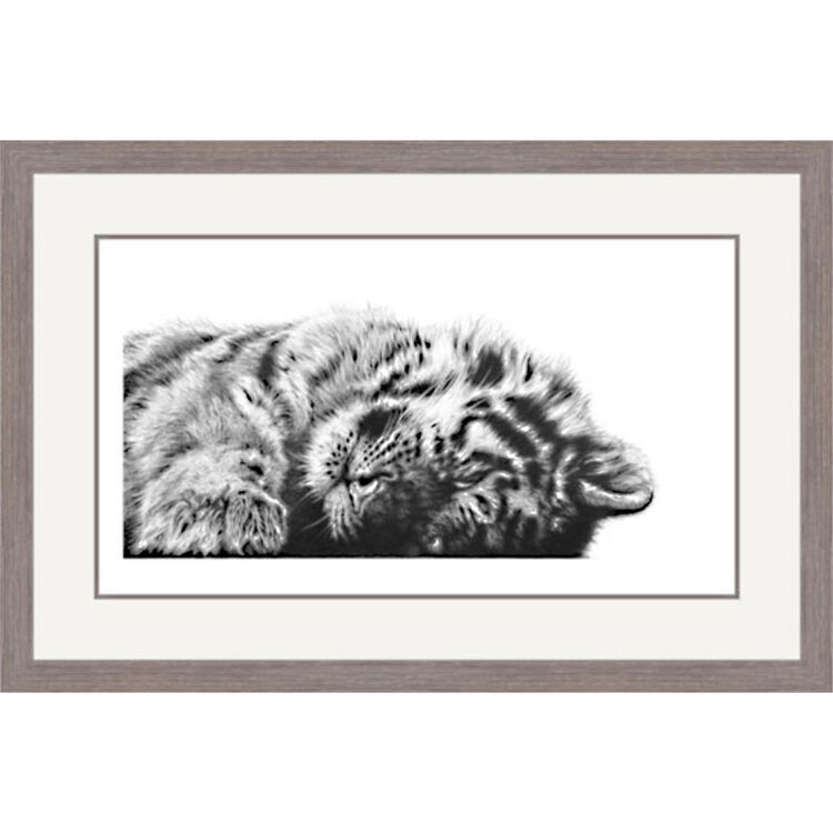 Peaceful - Siberian Tiger Framed Limited Edition Art Print by Jamie Boots