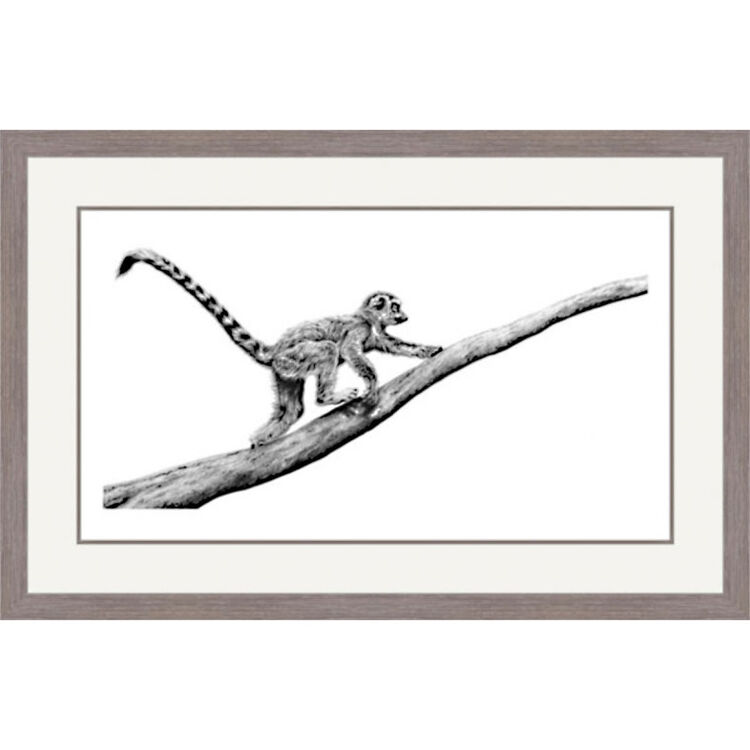 Branching Out - Ring Tailed Lemur Framed Limited Edition Art Print by Jamie Boots