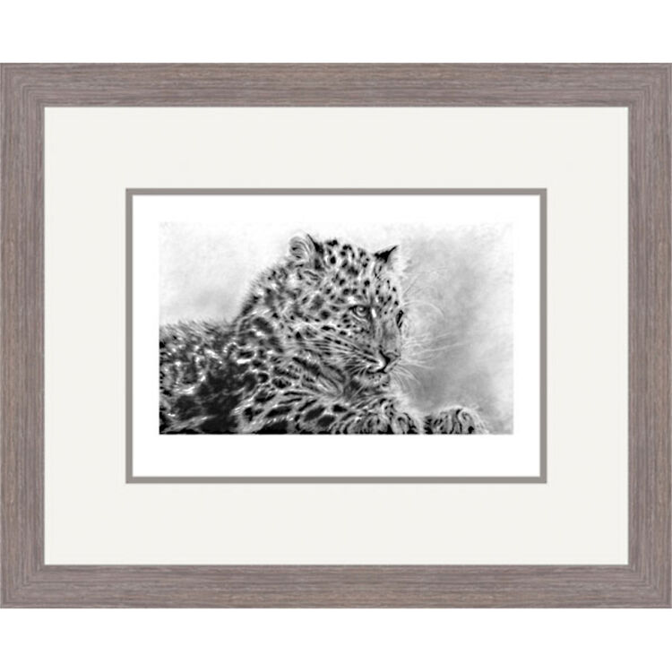 Mist of Amur - Amur Leopard Framed Limited Edition Art Print by Jamie Boots