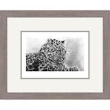 Mist of Amur - Amur Leopard Framed Limited Edition Art Print by Jamie Boots