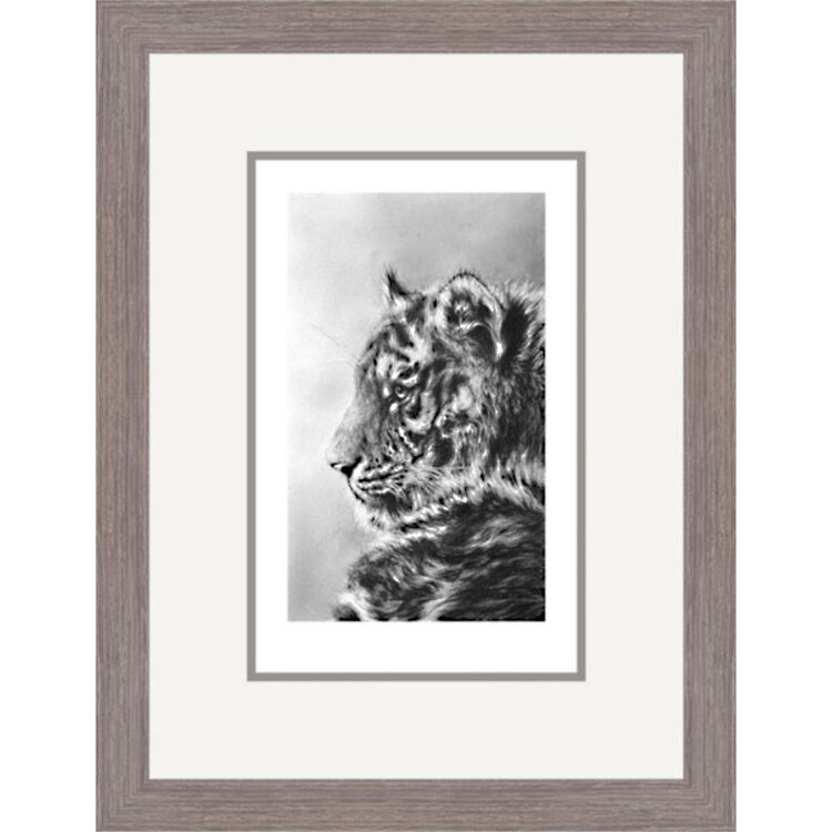 Silent Storm - Amur Tiger Framed Limited Edition Art Print by Jamie Boots