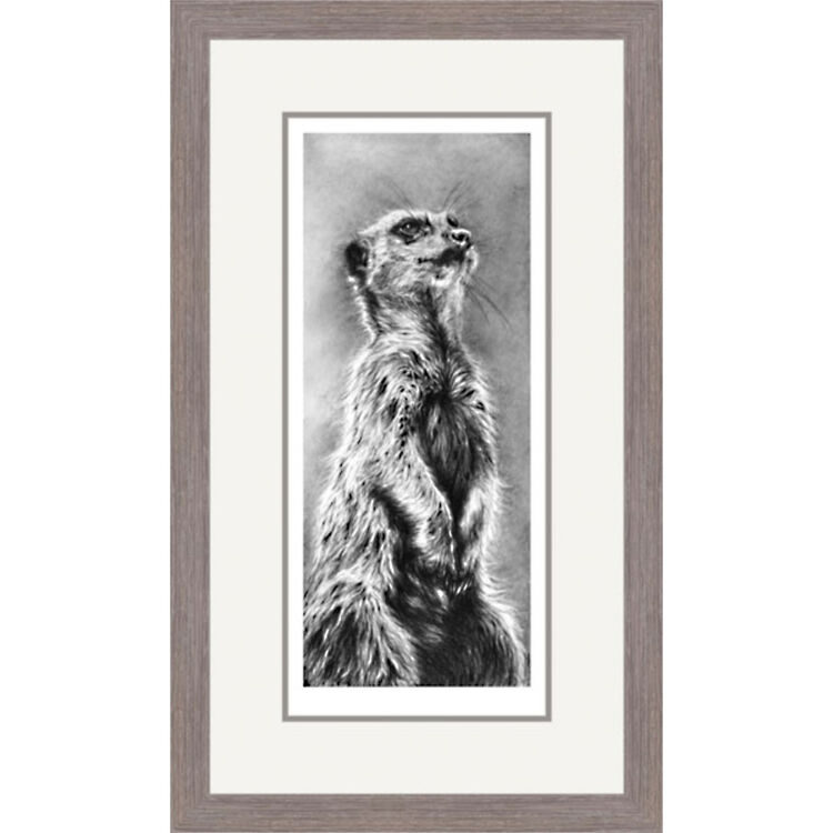 The Sentinel - Meerkat Framed Limited Edition Art Print by Jamie Boots