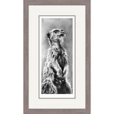 The Sentinel - Meerkat Framed Limited Edition Art Print by Jamie Boots