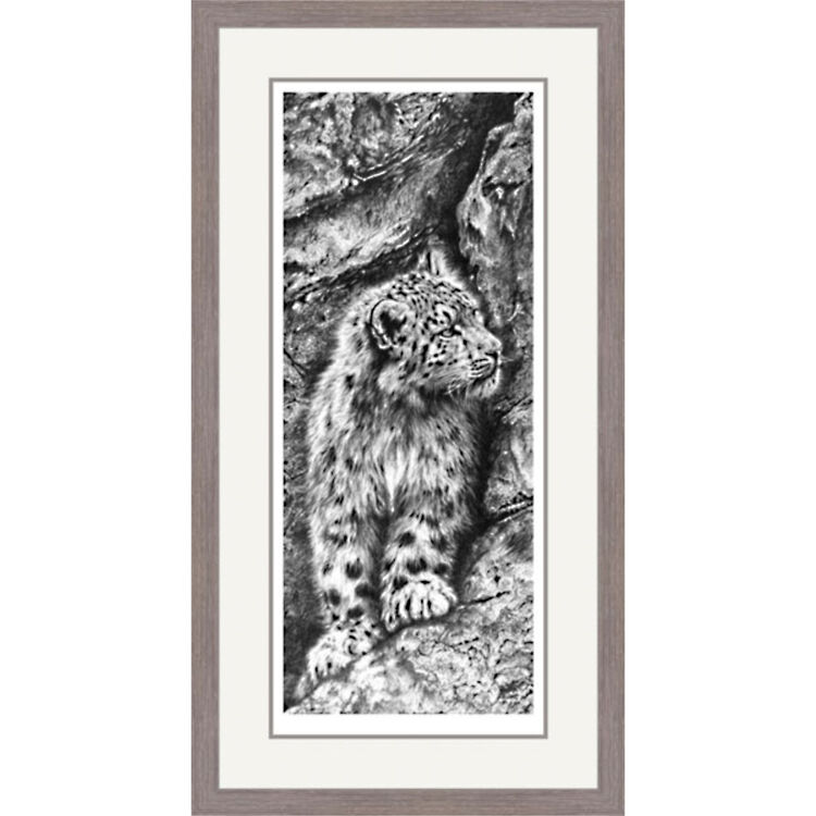 Above The Clouds - Snow Leopard Framed Limited Edition Art Print by Jamie Boots