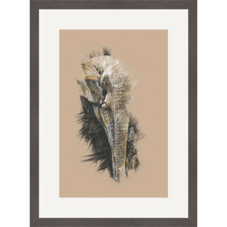 The Leader - Elephant Framed Limited Edition Art Print by Jamie Boots