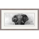 Thunder In The Dust - African Elephants Framed Limited Edition Art Print by Jamie Boots