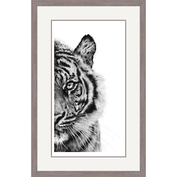 Line of Sight - Sumatran Tiger Framed Limited Edition Art Print by Jamie Boots