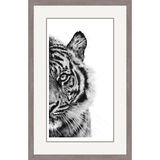 Line of Sight  - Sumatran Tiger Framed Limited Edition Art Print by Jamie Boots