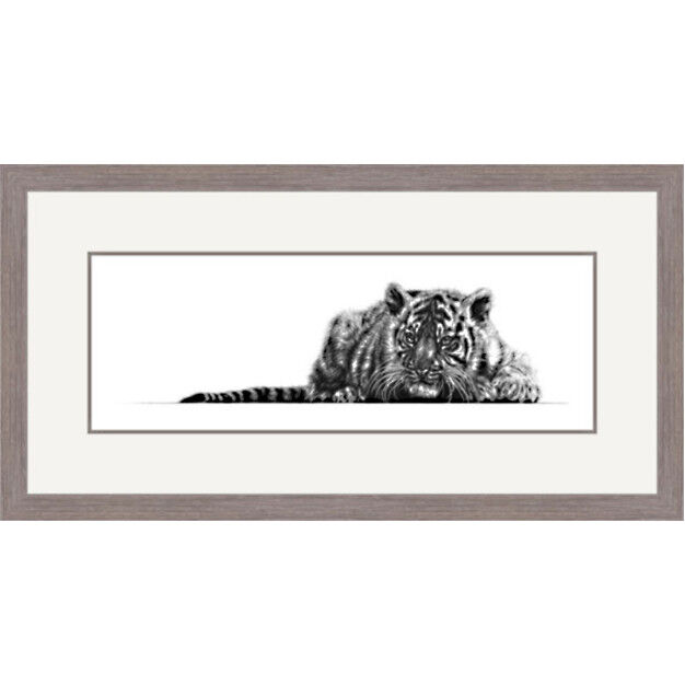 The Mystic Princess - Sumatran Tiger Cub Framed Limited Edition Art Print by Jamie Boots