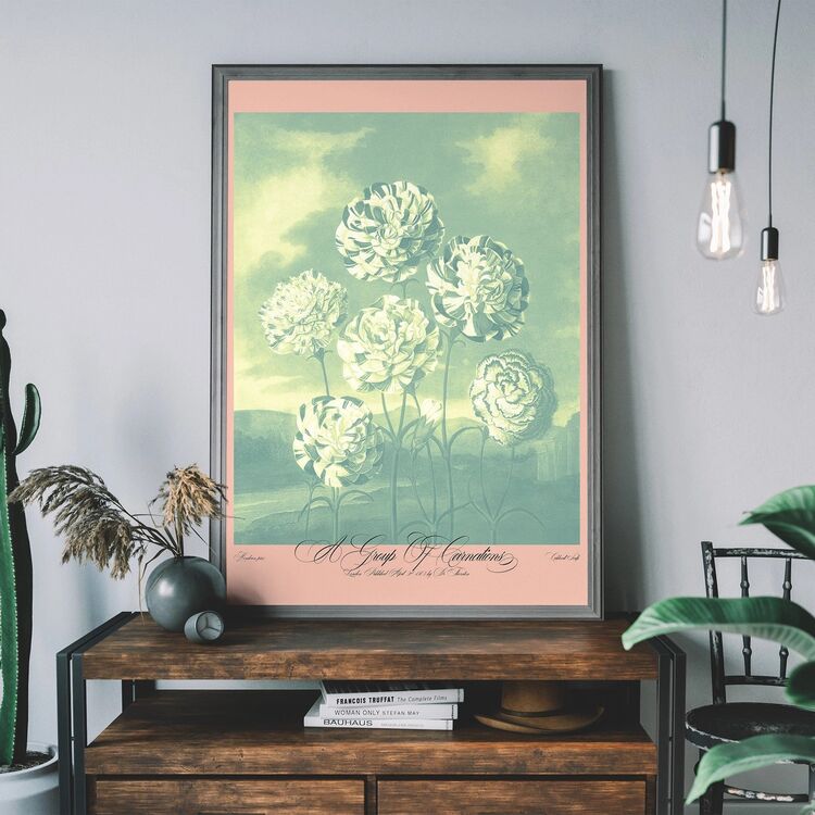 A Group of Carnations Pastel Flowers Framed Print