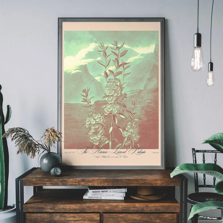 Narrow Leaved Kalmia Pastel Framed Print