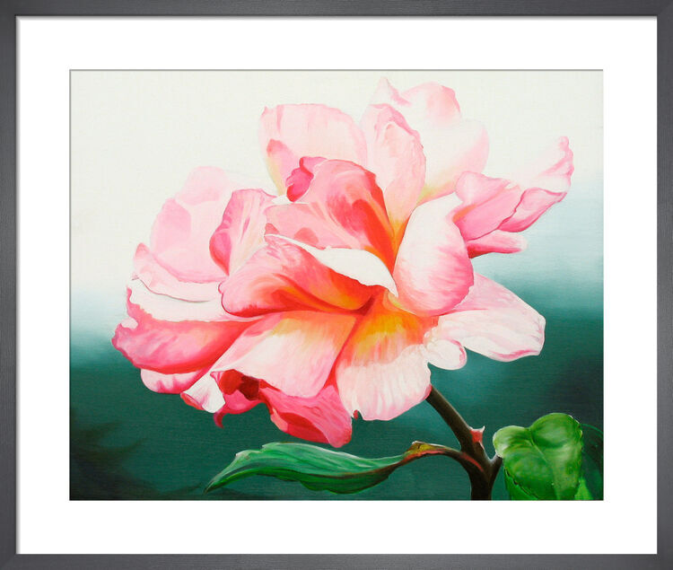 Leaping Salmon Framed Art Print by James Knowles