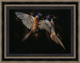 Let Feathers Fly Framed Limited Edition Art Print by Kay Johns