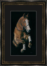 Leap of Faith - Horse Framed Limited Edition Art Print by Kay Johns