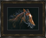 By a Nose - Racehorse Framed Limited Edition Art Print by Kay Johns