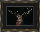 Red Emperor Framed Limited Edition Art Print by Kay Johns