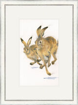Going for Gold - Hares Framed Limited Edition Art Print by Kay Johns