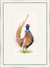 Romeo - Pheasants Framed Limited Edition Art Print by Kay Johns