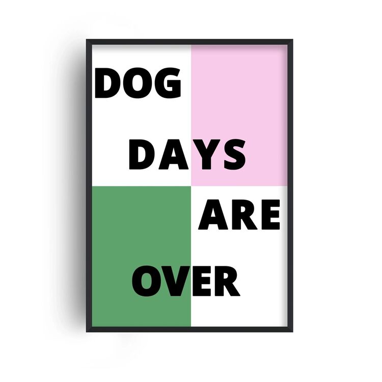Dog Days Are Over Retro Music Home Decor Framed Art Print