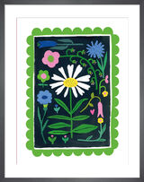 Mid Summer Daisy Framed Art Print by Summer Thornton