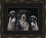 Work Mates Framed Limited Edition Art Print by Kay Johns