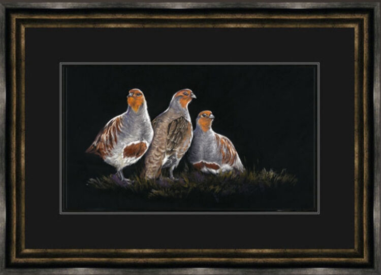 The Greys Framed Limited Edition Art Print by Kay Johns