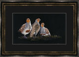 The Greys Framed Limited Edition Art Print by Kay Johns