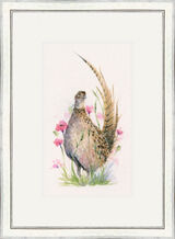 Juliet - Pheasants Framed Limited Edition Art Print by Kay Johns
