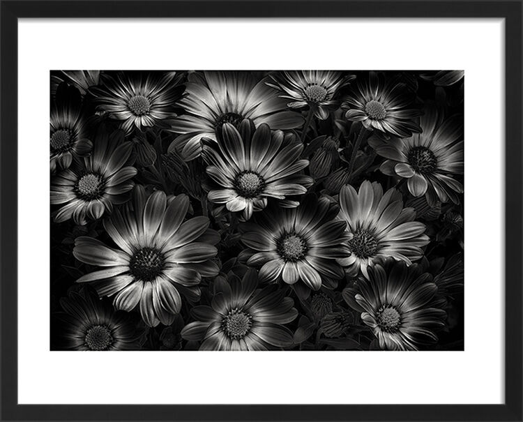 Perfect Flowers Framed Art Print by Dennis Frates