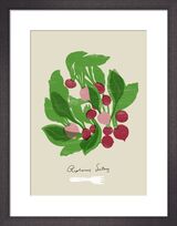 Radish by Ana Zaja Petrak